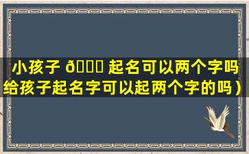 小孩子 🐟 起名可以两个字吗（给孩子起名字可以起两个字的吗）